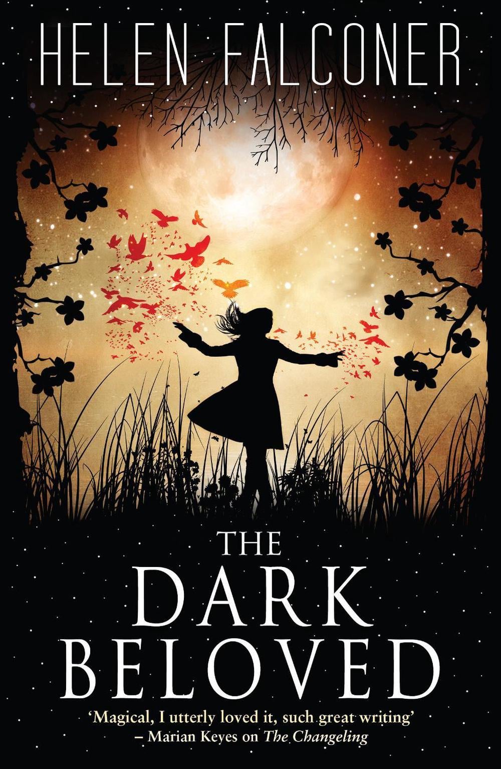 The Dark Beloved by Helen Falconer - ISBN: 9780552573436