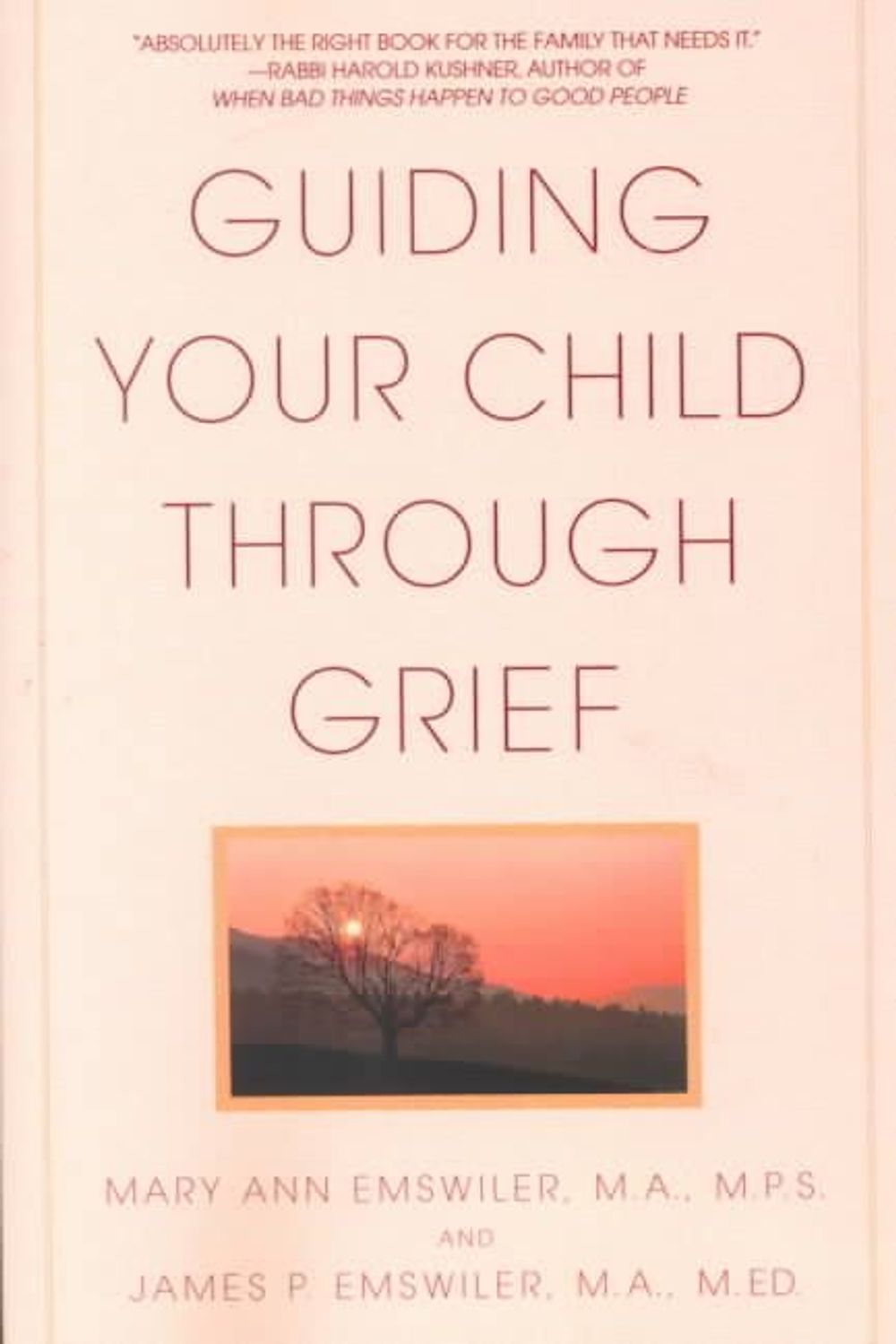 Guiding Your Child Through Grief by Mary Ann Emswiler - ISBN: 9780553380255