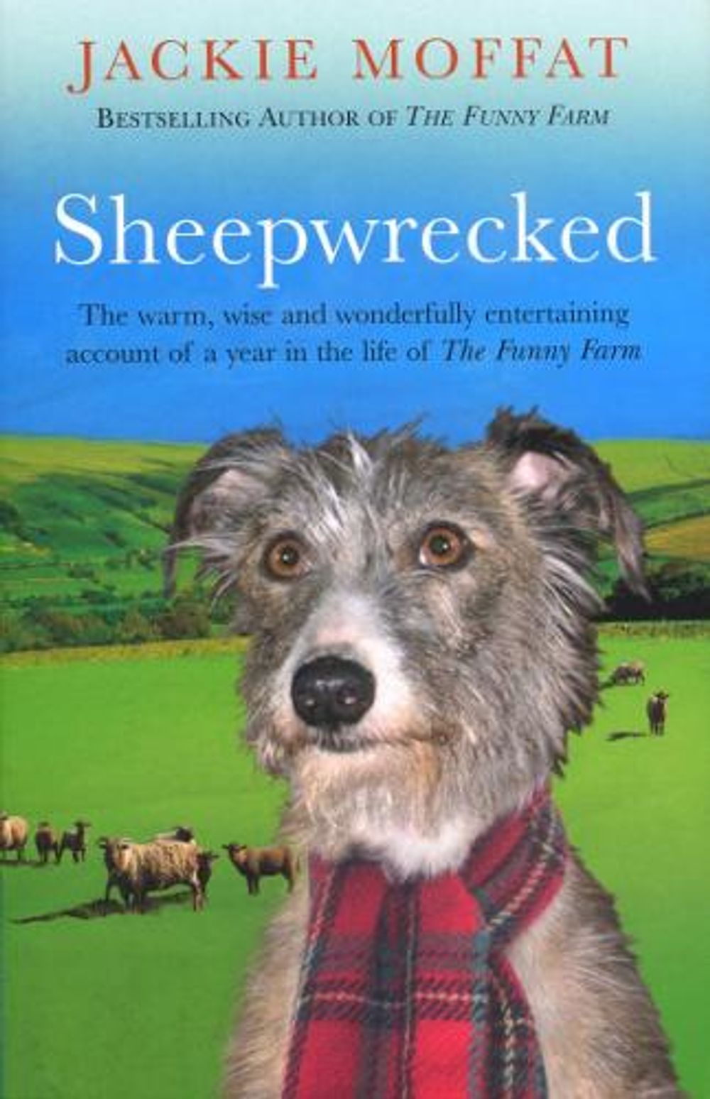 Sheepwrecked by Jackie Ellis - ISBN: 9780553817768