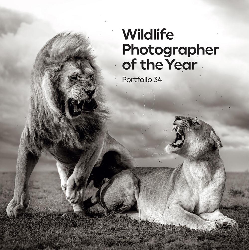 Wildlife Photographer of the Year: Portfolio 34, 9780565095642