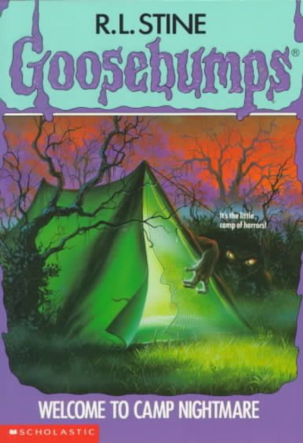 Cover of Welcome to Camp Nightmare