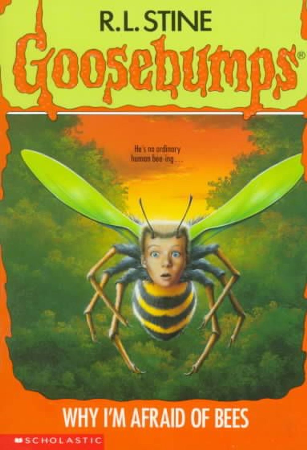 Cover of Why I'm Afraid of Bees