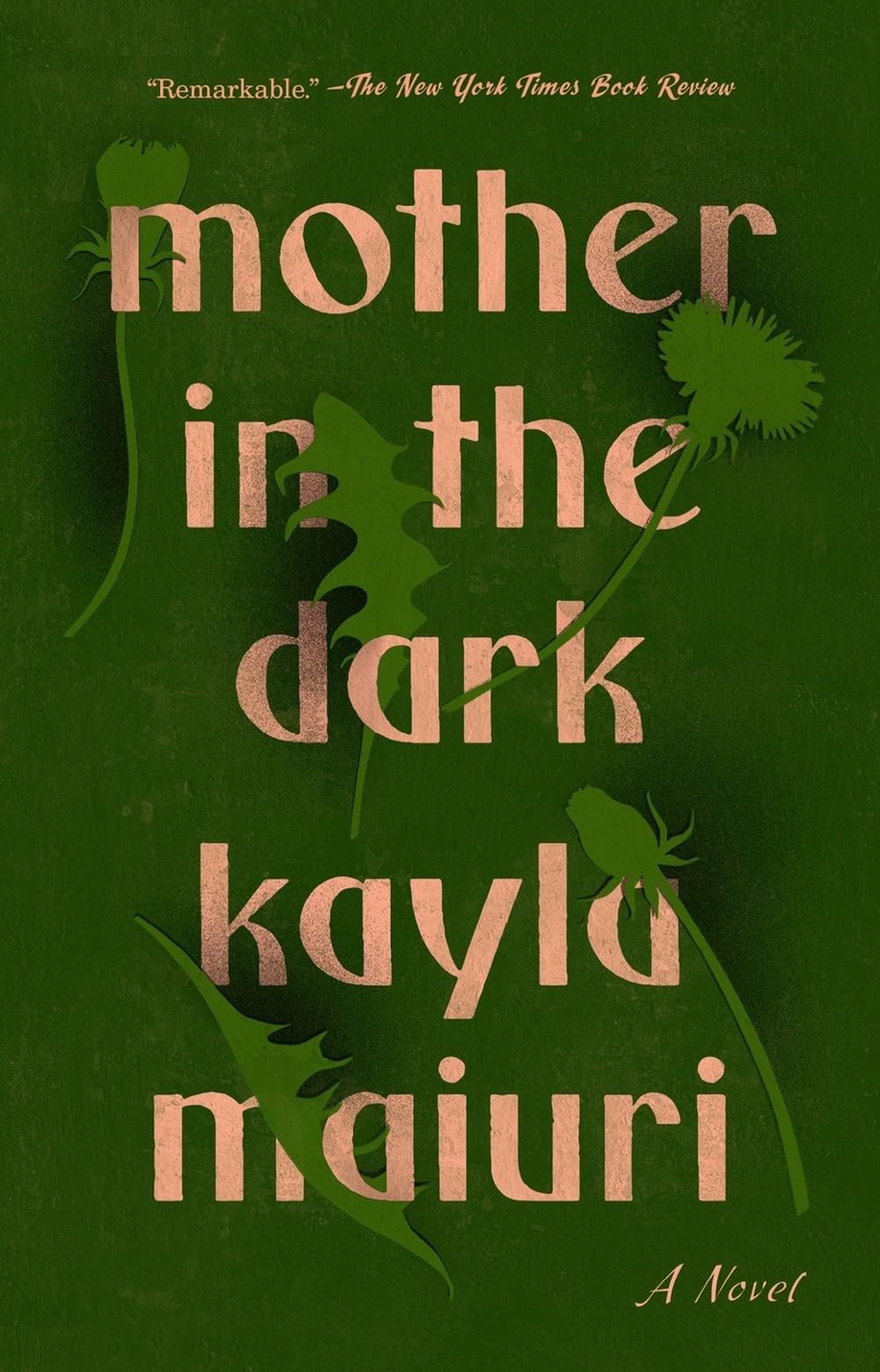 Mother In the Dark by Kayla Maiuri - ISBN: 9780593083291