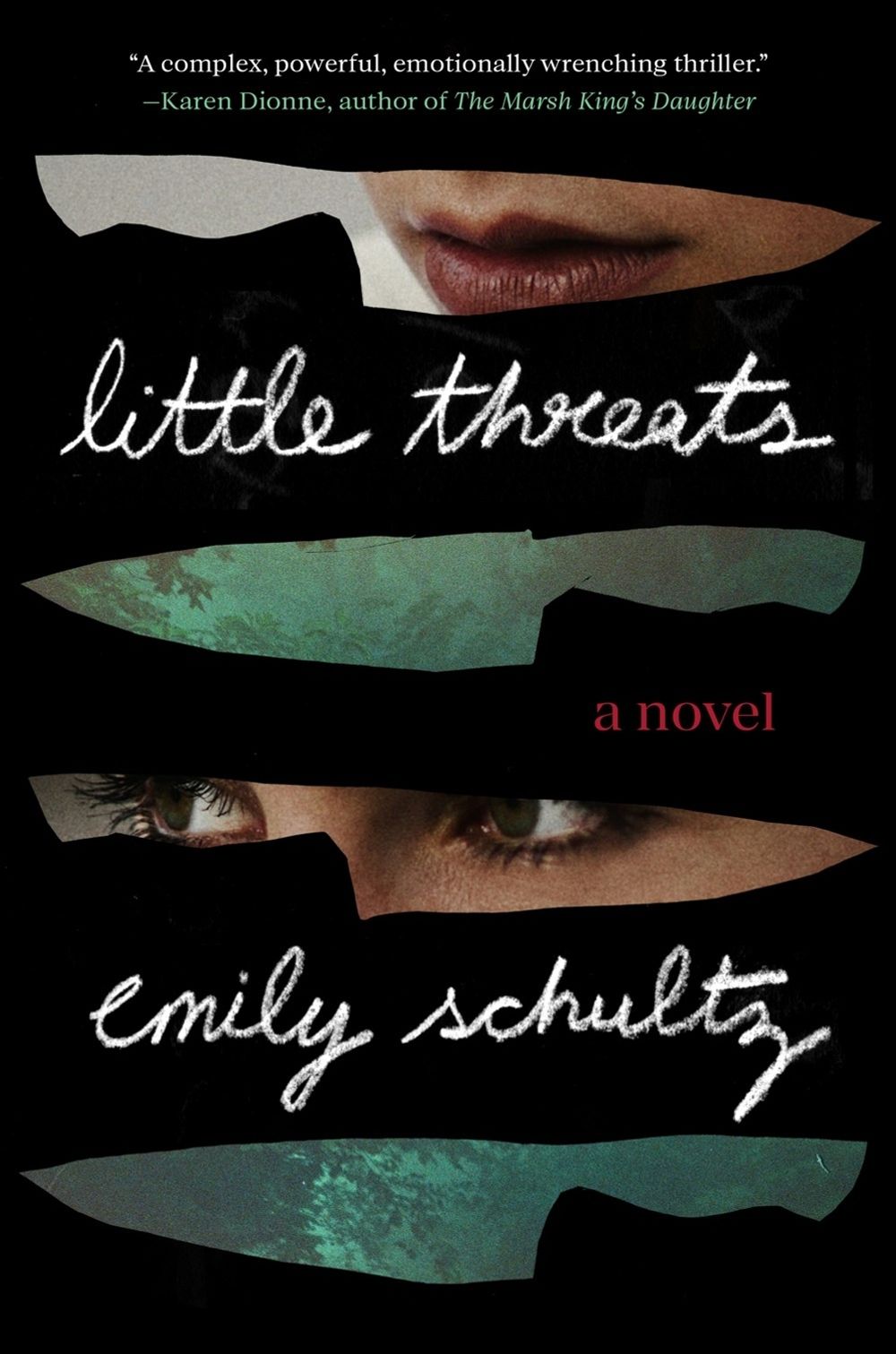 Little Threats by Emily Schultz - ISBN: 9780593086995