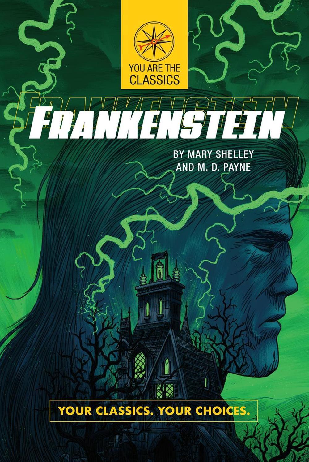 Frankenstein: Your Classics. Your Choices. by Mary Shelley - ISBN: 9780593095928