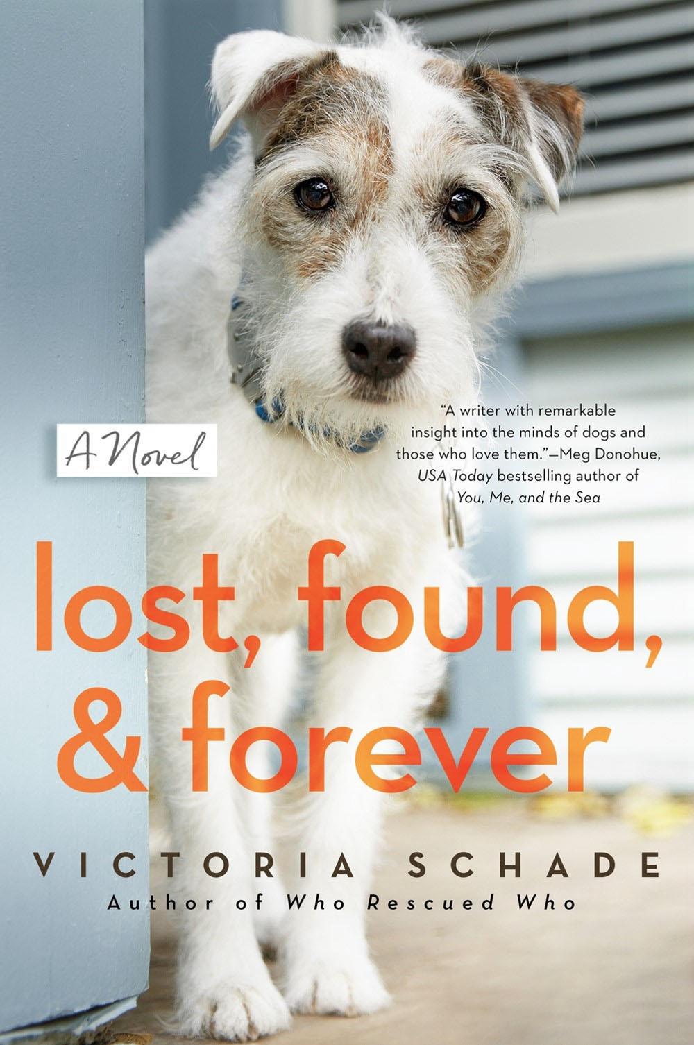 Lost, Found, and Forever by Victoria Schade - ISBN: 9780593098851