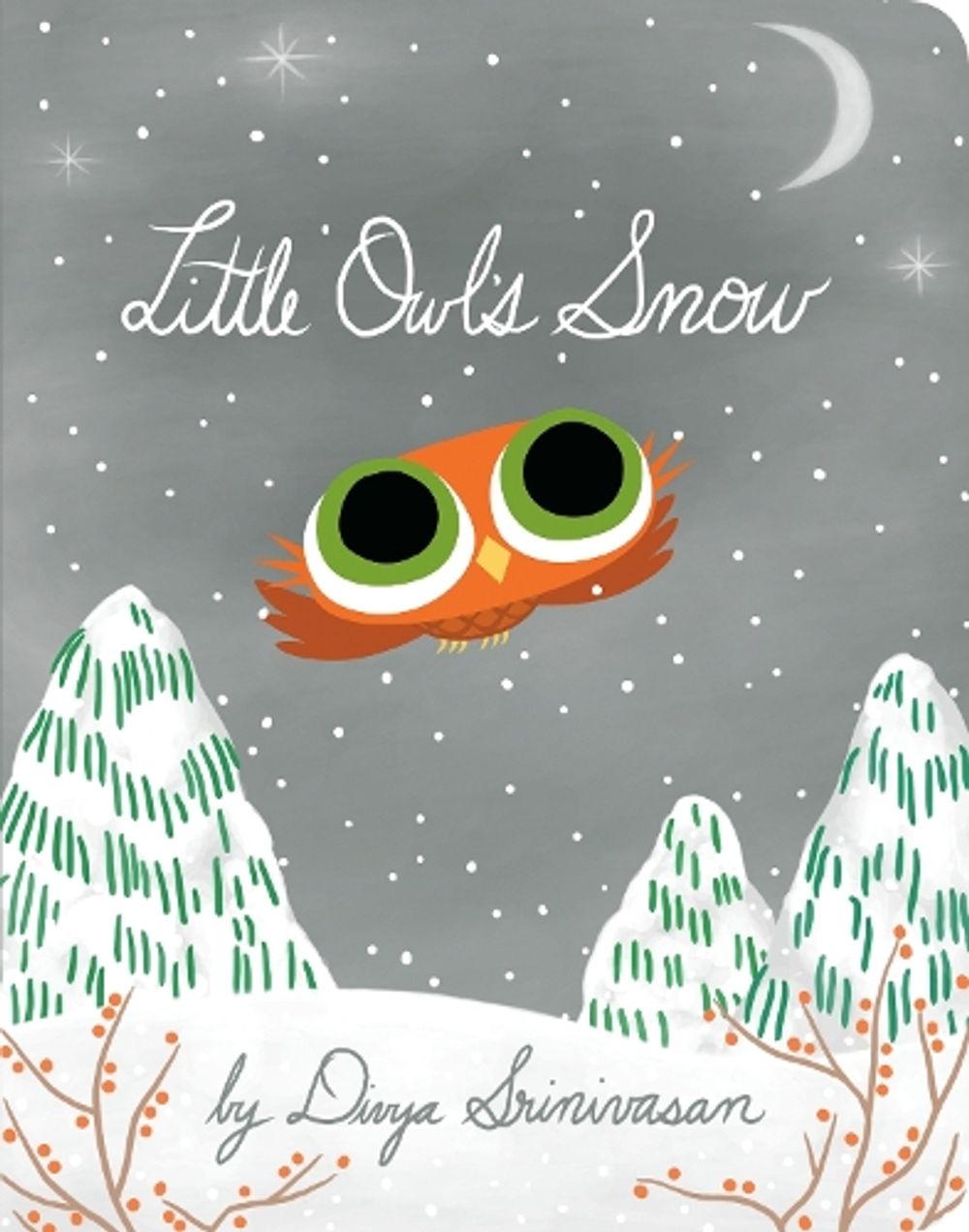 Little Owl's Snow by Divya Srinivasan - ISBN: 9780593115343
