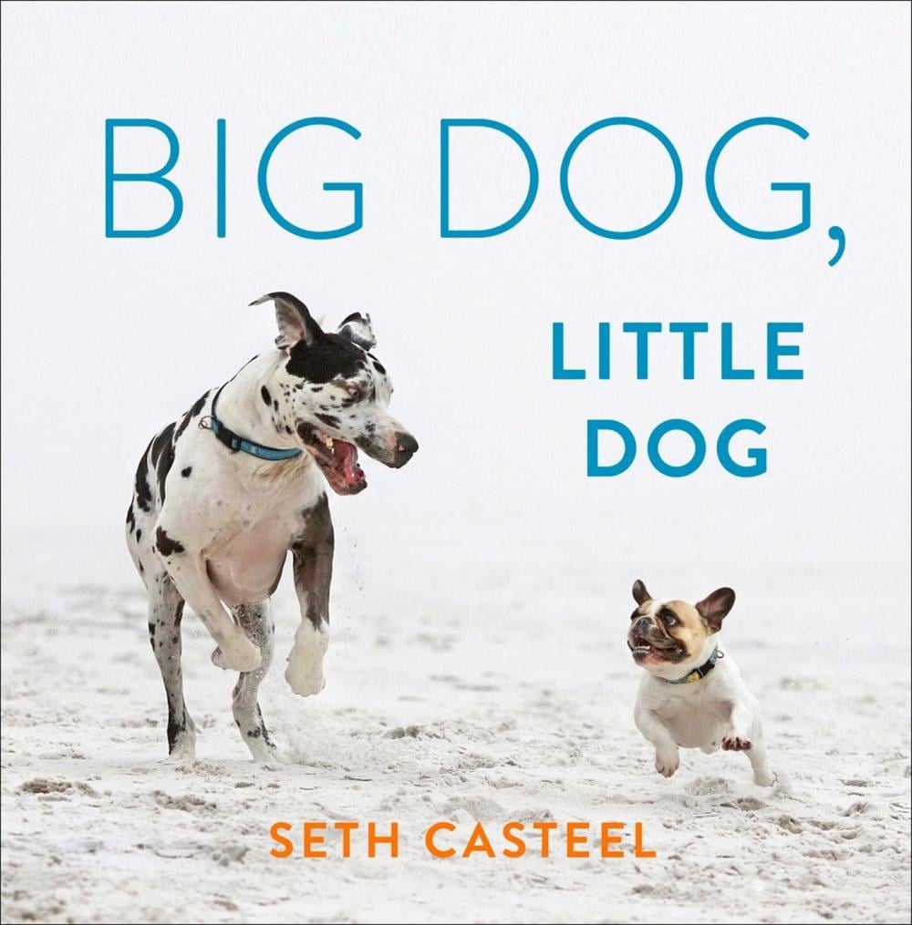 Big Dog, Little Dog by Seth Casteel - ISBN: 9780593183663