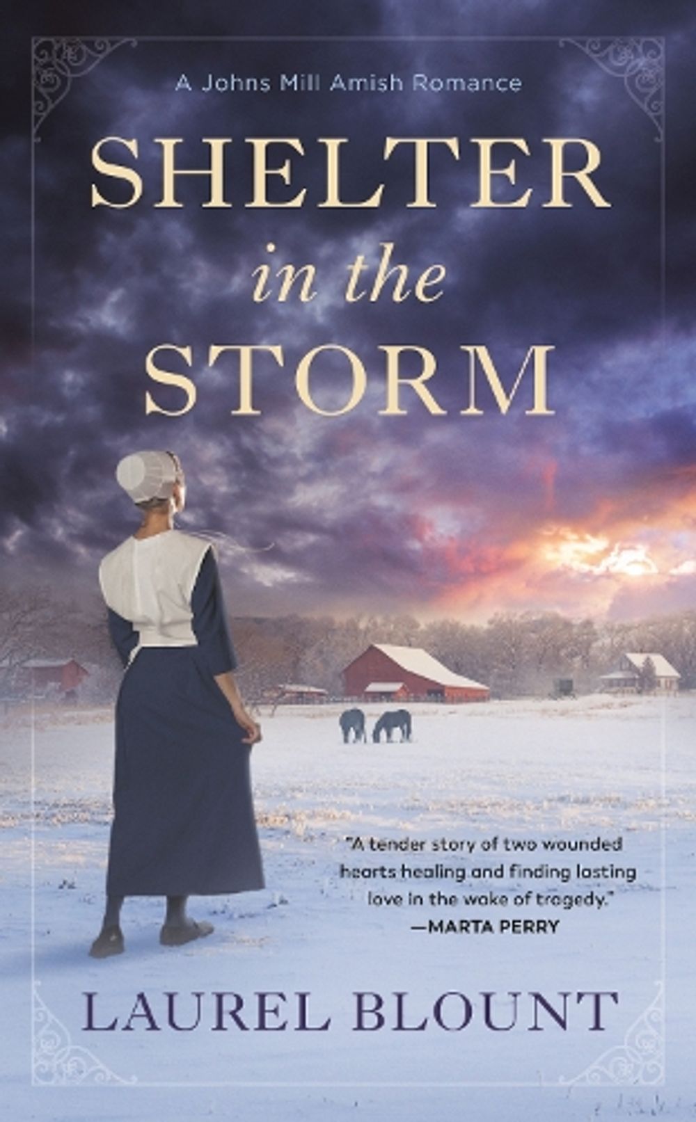 Shelter in the Storm by Laurel Blount - ISBN: 9780593200209