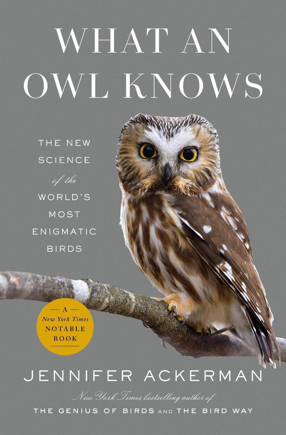 What an Owl Knows, 9780593298886