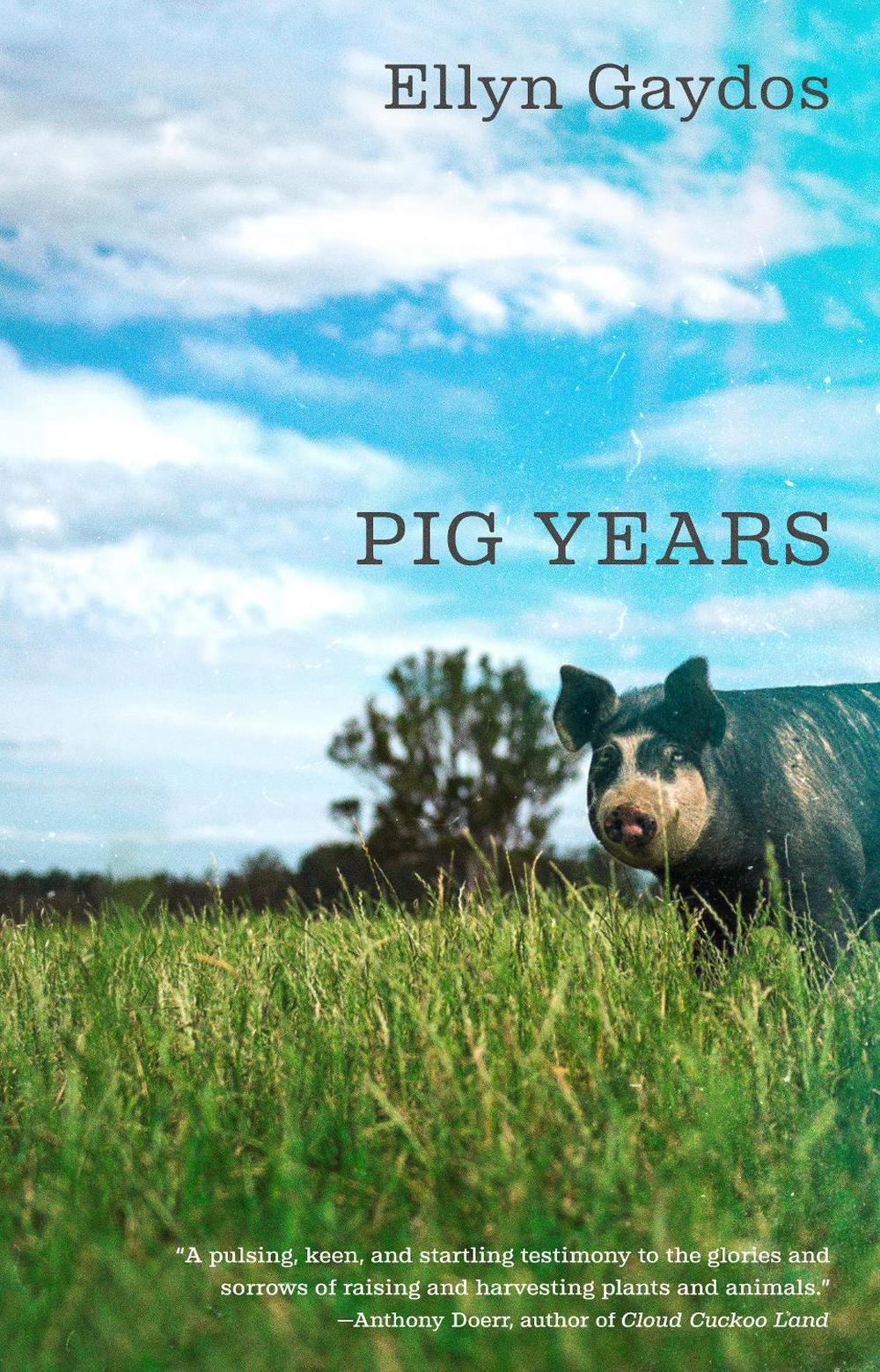 Pig Years, 9780593312612