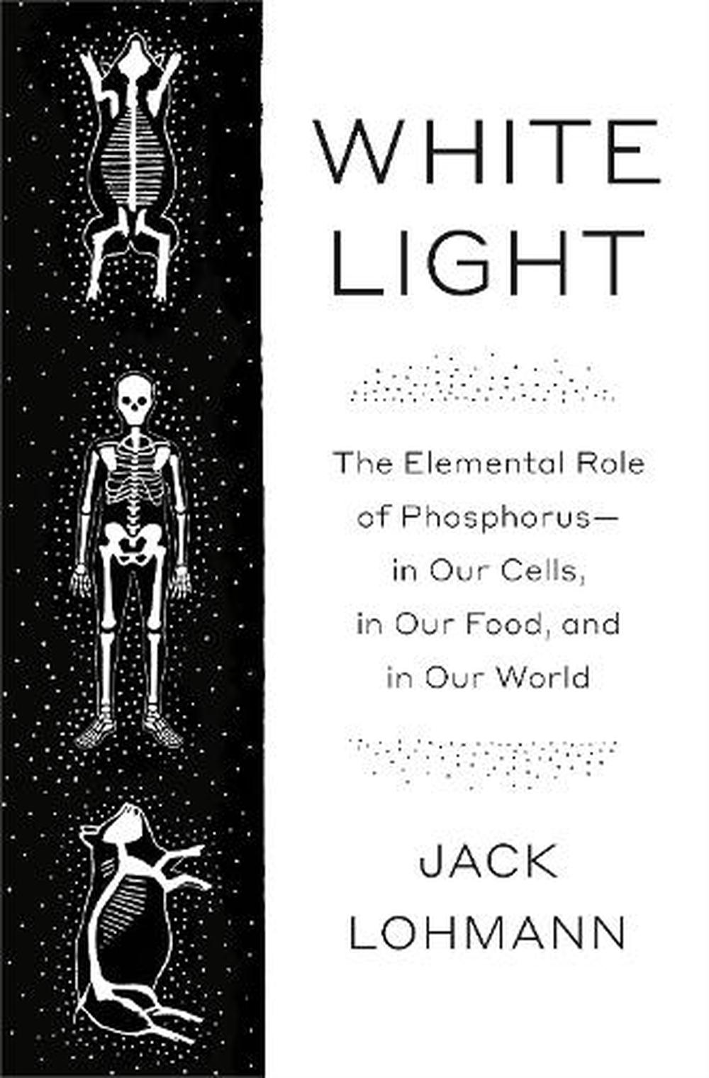 White Light, 9780593316610