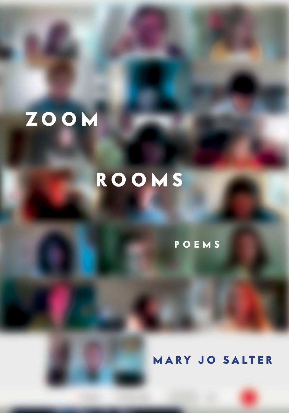 Zoom Rooms by Mary Jo Salter - ISBN: 9780593321317