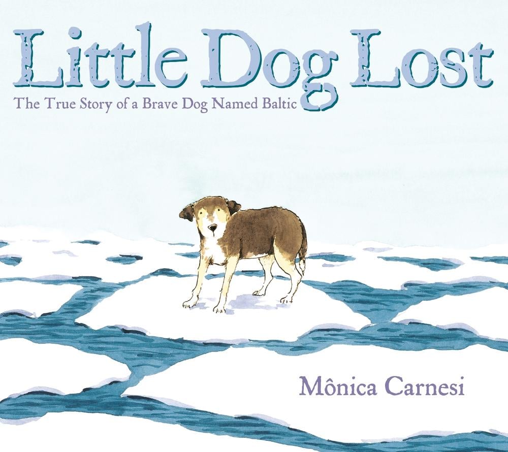Little Dog Lost by Mônica Carnesi - ISBN: 9780593407844