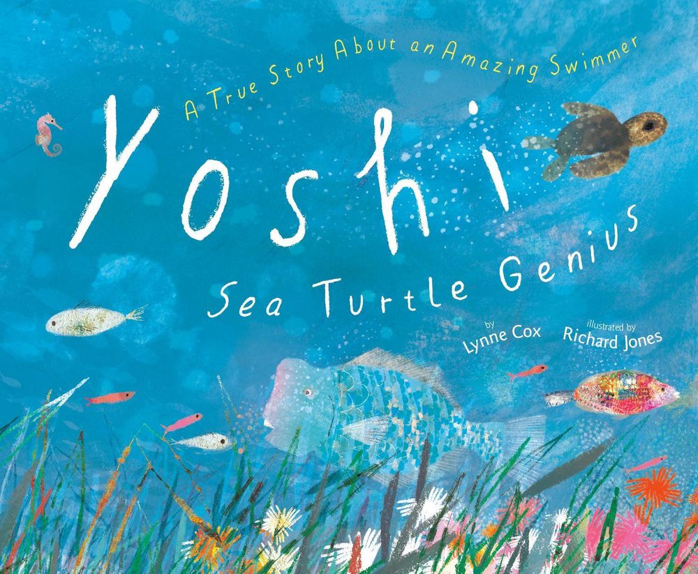 Yoshi, Sea Turtle Genius by Lynne Cox - ISBN: 9780593425688
