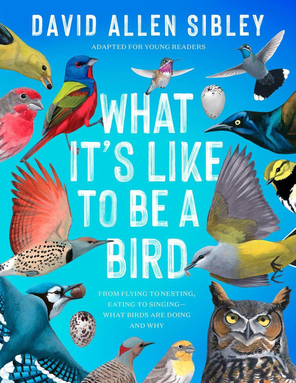 What It's Like to Be a Bird (Adapted for Young Readers) by David Allen Sibley - ISBN: 9780593430187