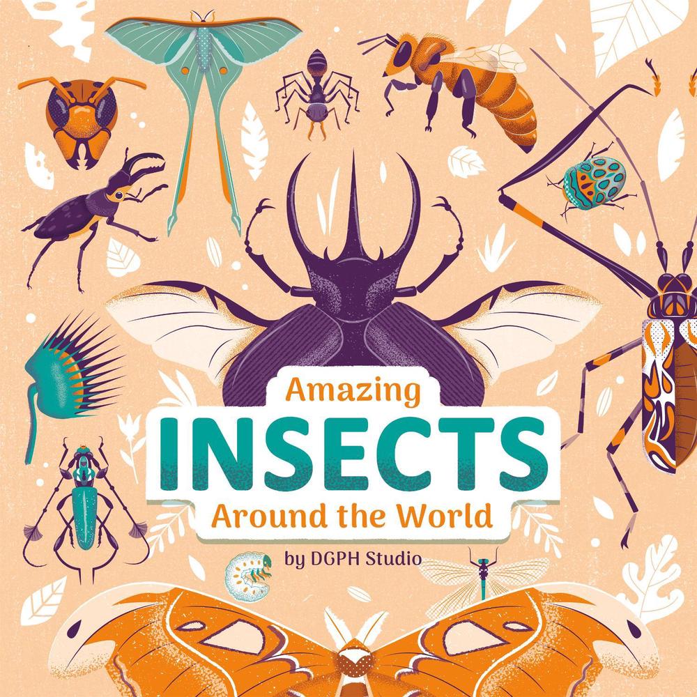 Amazing Insects Around the World by DGPH Stufio - ISBN: 9780593522332