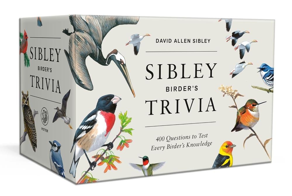 Sibley Birder's Trivia: A Card Game by David Allen Sibley - ISBN: 9780593578124