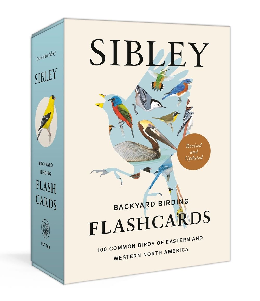 Sibley Backyard Birding Flashcards, Revised and Updated by David Allen Sibley - ISBN: 9780593578544