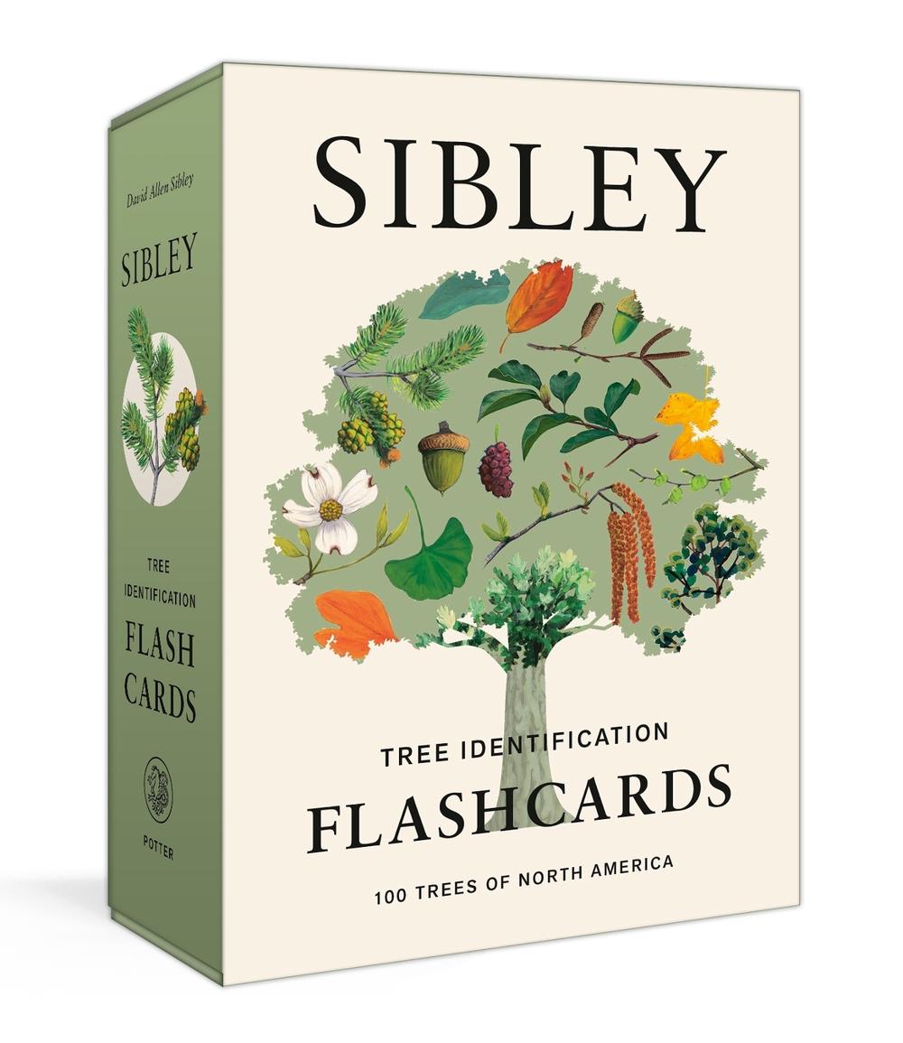 Sibley Tree Identification Flashcards, 9780593578551