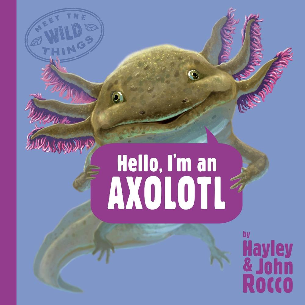 Hello, I'm an Axolotl (Meet the Wild Things, Book 4) by Hayley Rocco - ISBN: 9780593618219