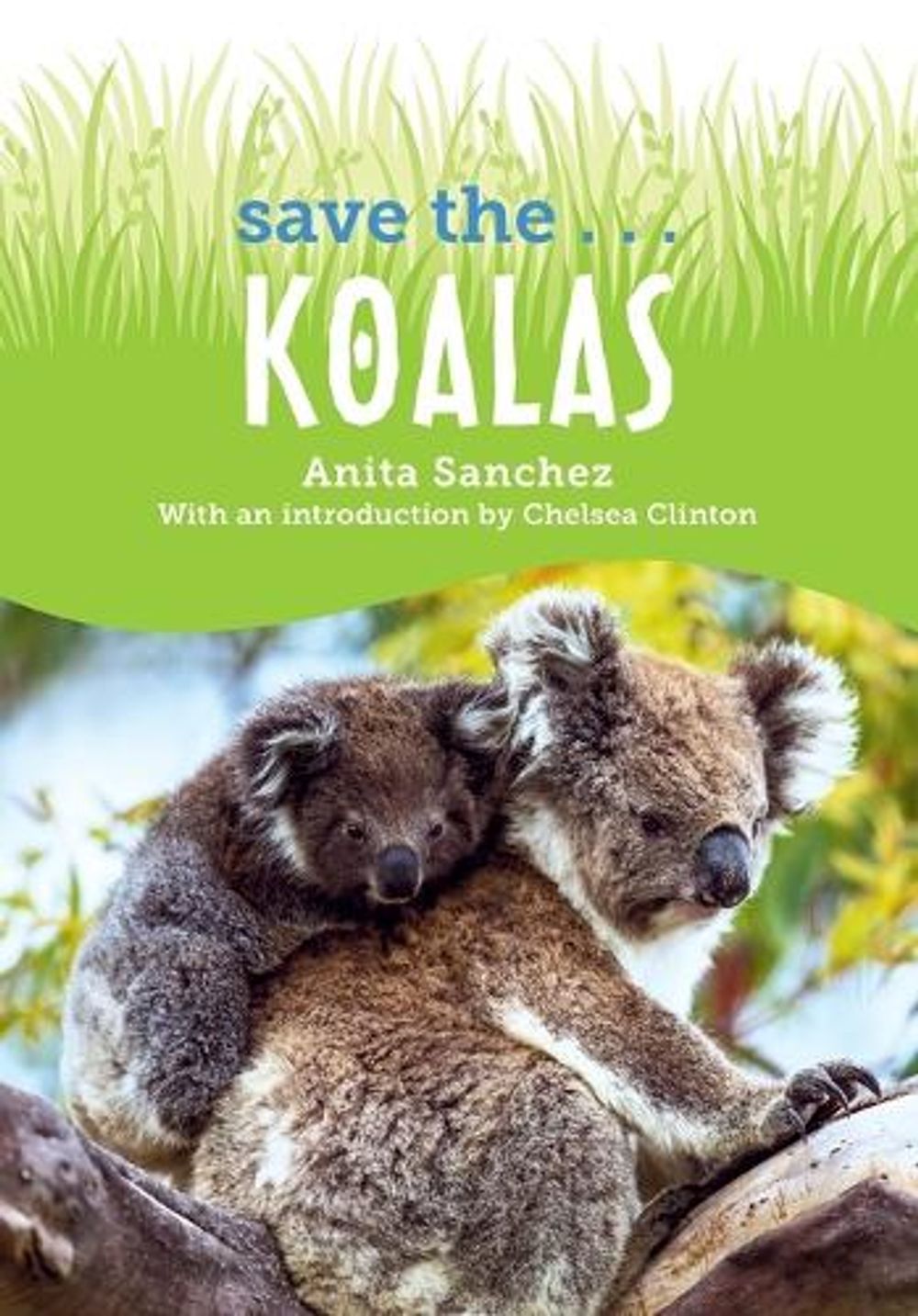 Save the... Koalas by Anita Sanchez - ISBN: 9780593622643