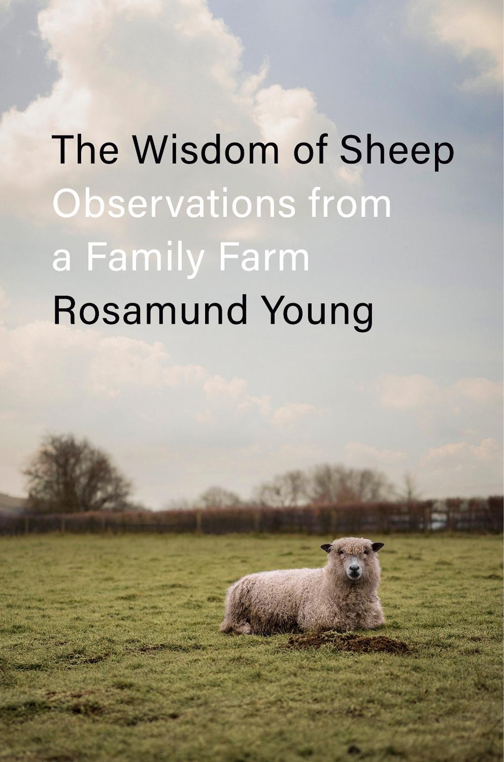 The Wisdom of Sheep, 9780593656174
