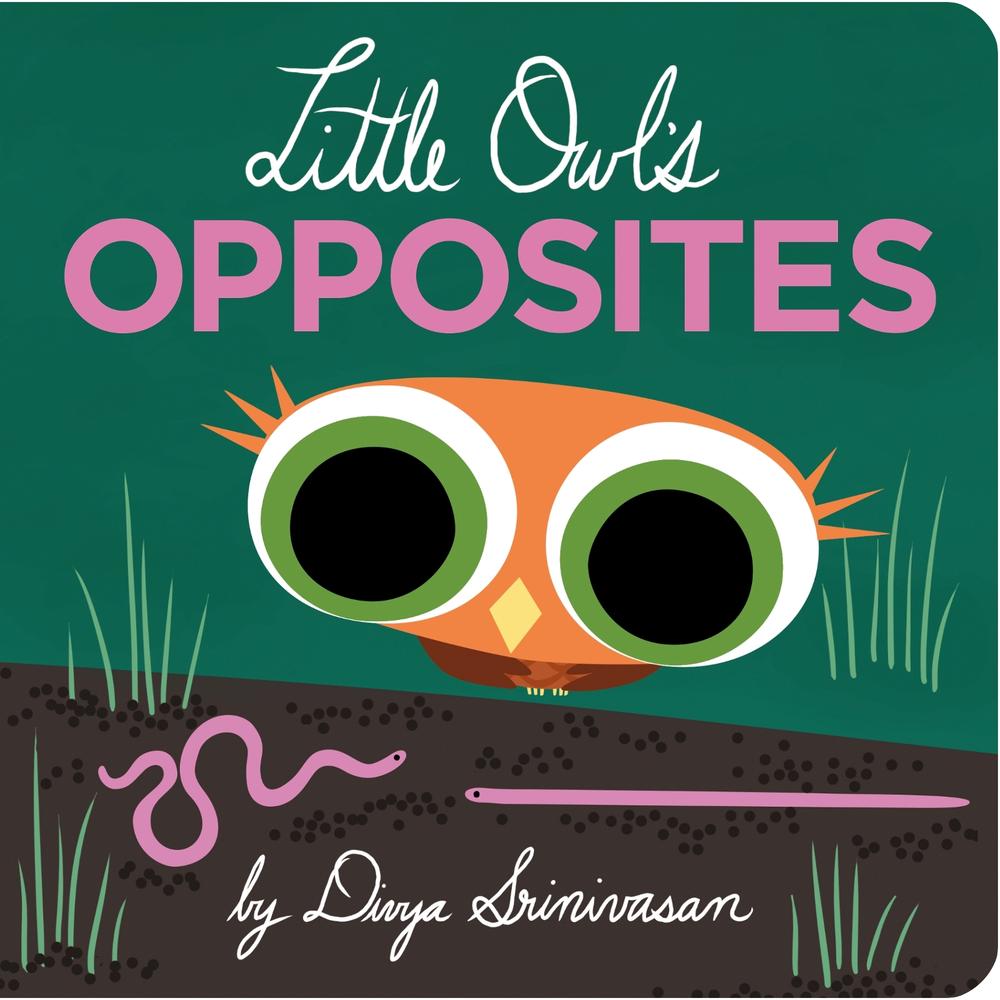 Little Owl's Opposites by Divya Srinivasan - ISBN: 9780593691168