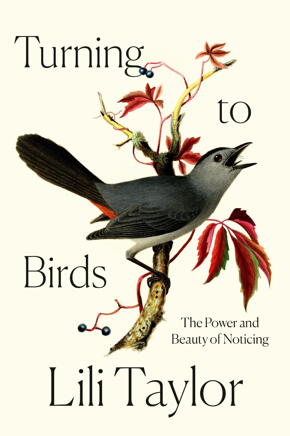 Turning to Birds, 9780593728574