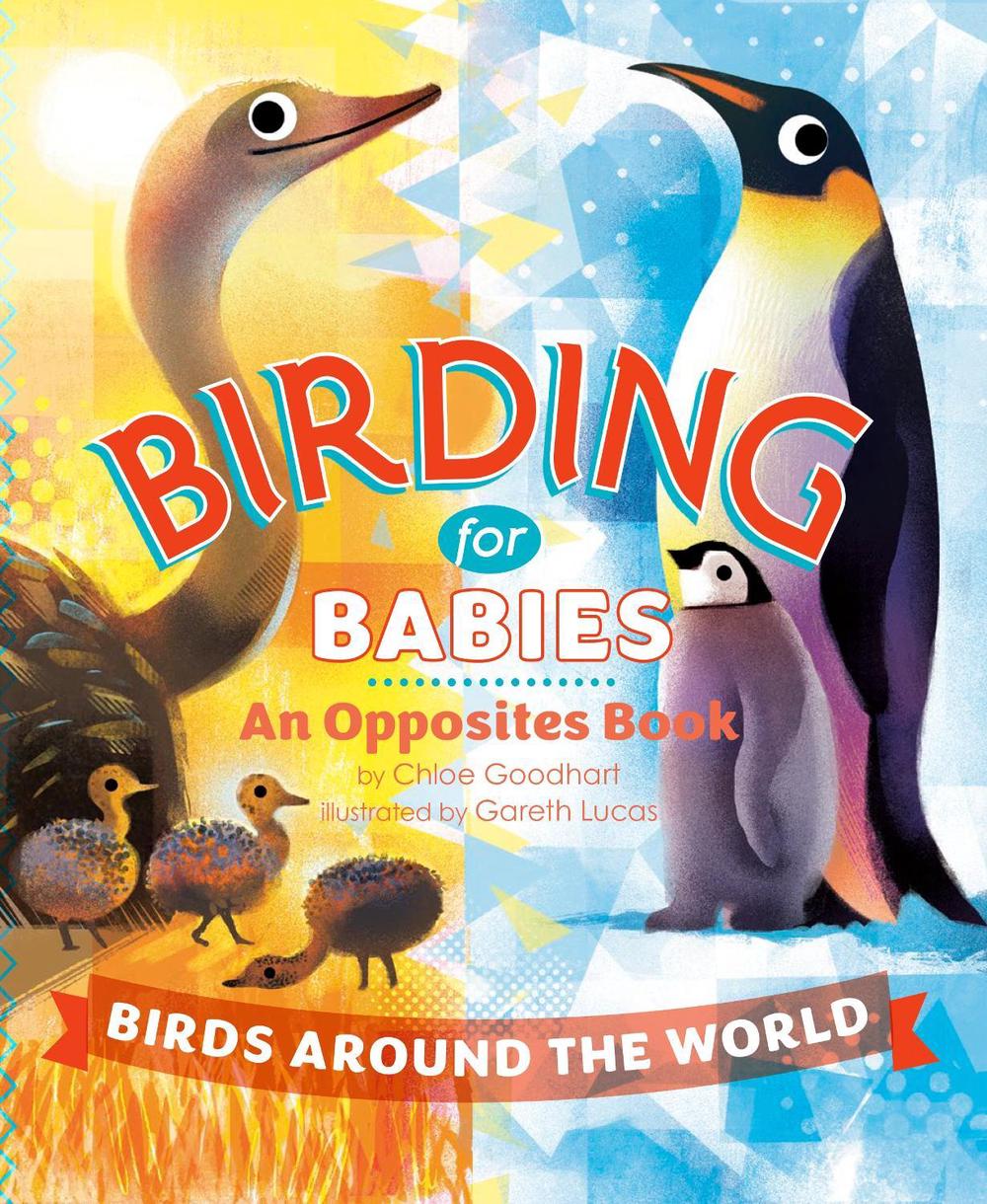Birding for Babies: Birds Around the World, 9780593752005
