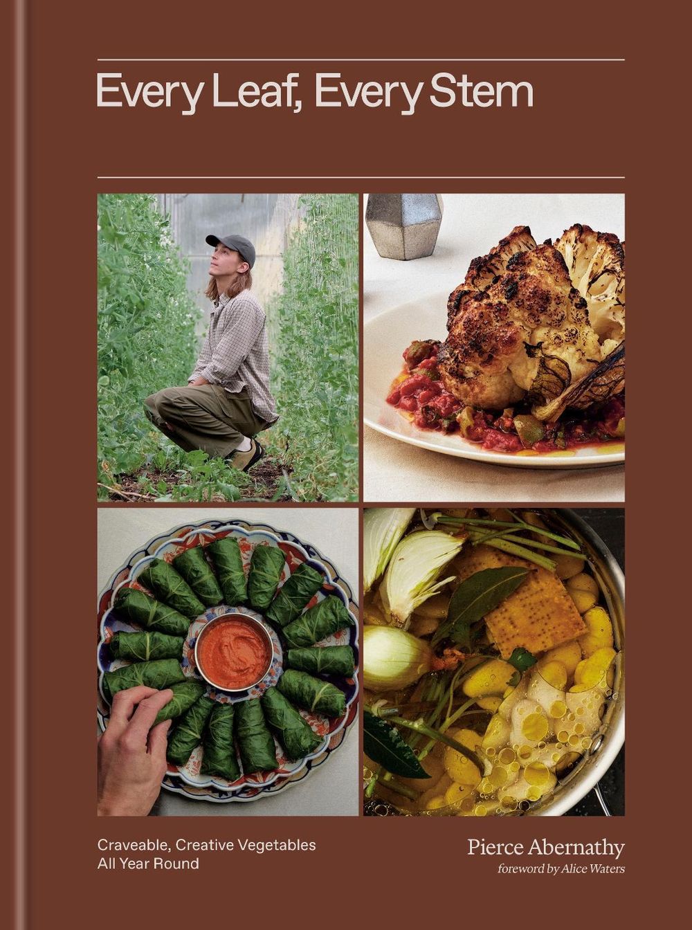 Every Leaf, Every Stem by Pierce Abernathy - ISBN: 9780593800171