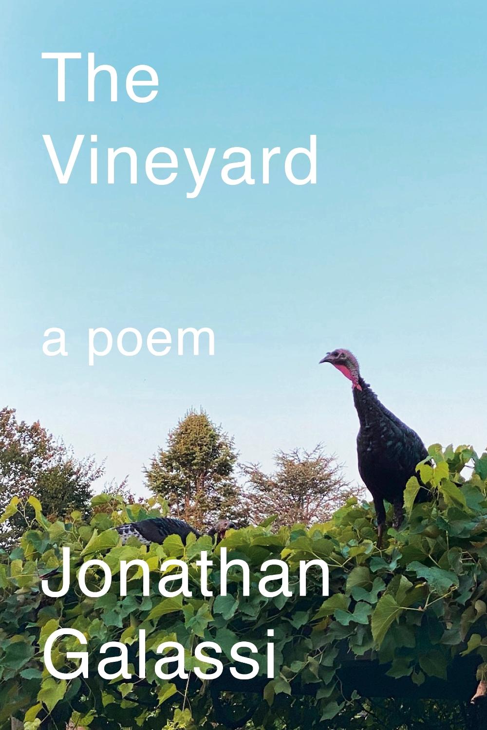 The Vineyard by Jonathan Galassi - ISBN: 9780593803790