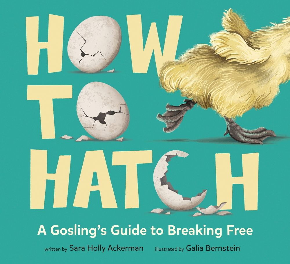 How to Hatch by Sara Holly Ackerman - ISBN: 9780593811078