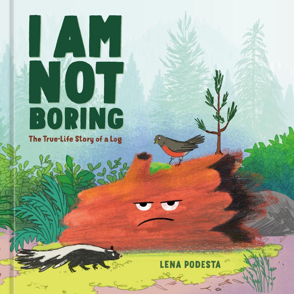 I Am Not Boring by Lena Podesta - ISBN: 9780593838297