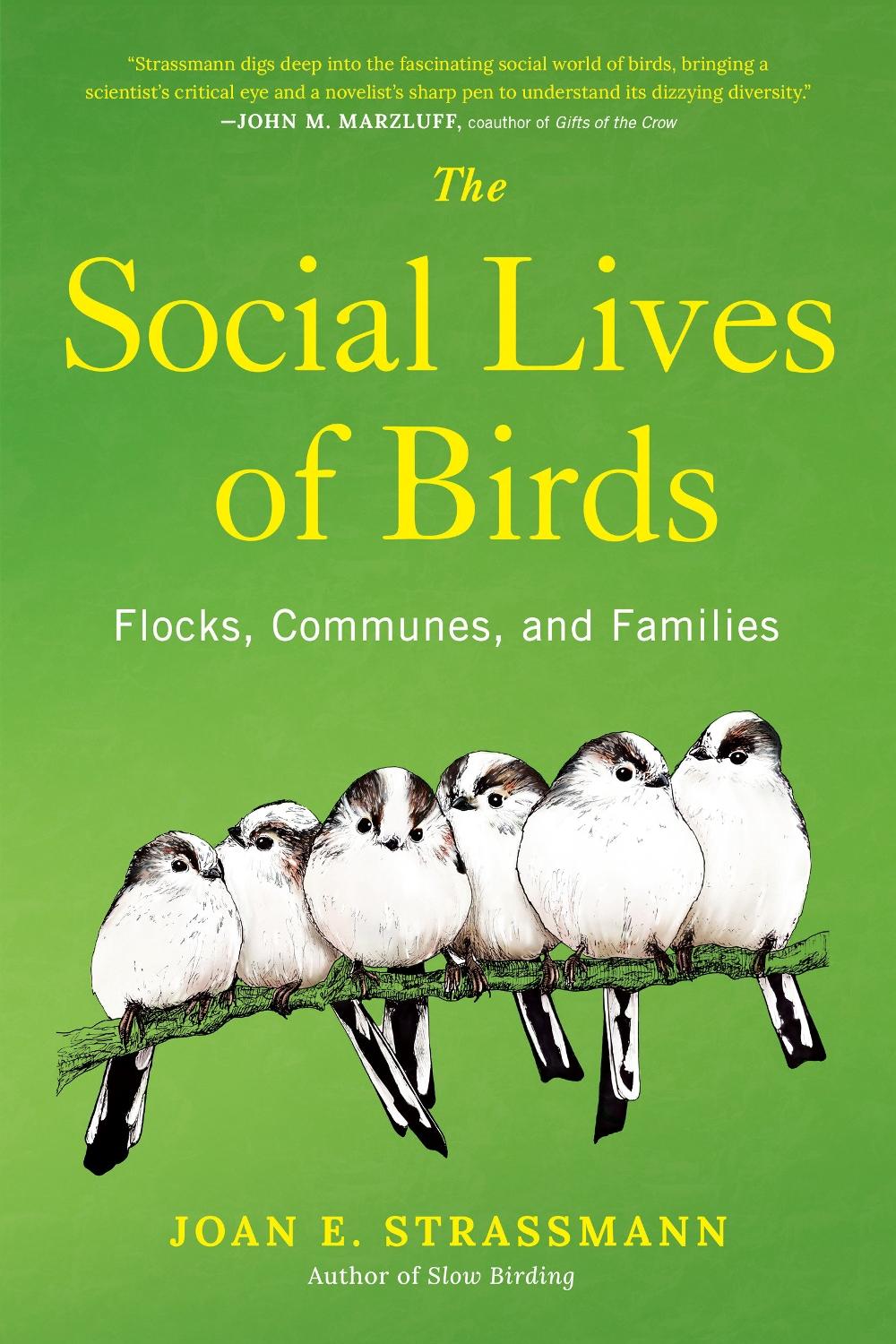 The Social Lives of Birds, 9780593853061
