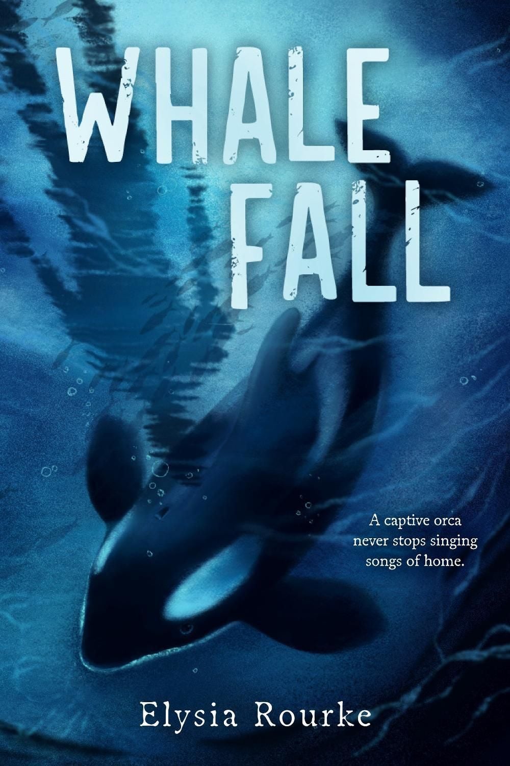Whale Fall by Elysia Rourke - ISBN: 9780593859216