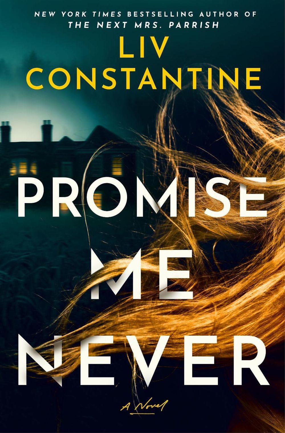 Promise Me Never by Liv Constantine - ISBN: 9780593875230