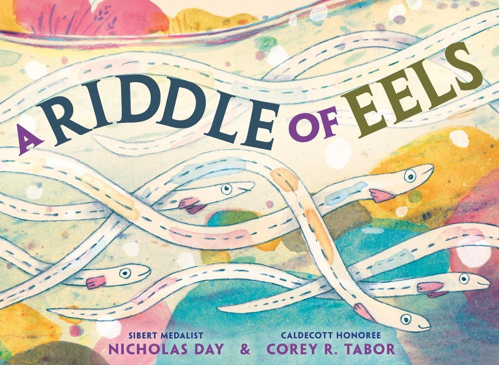 A Riddle of Eels by Nicholas Day - ISBN: 9780593905692