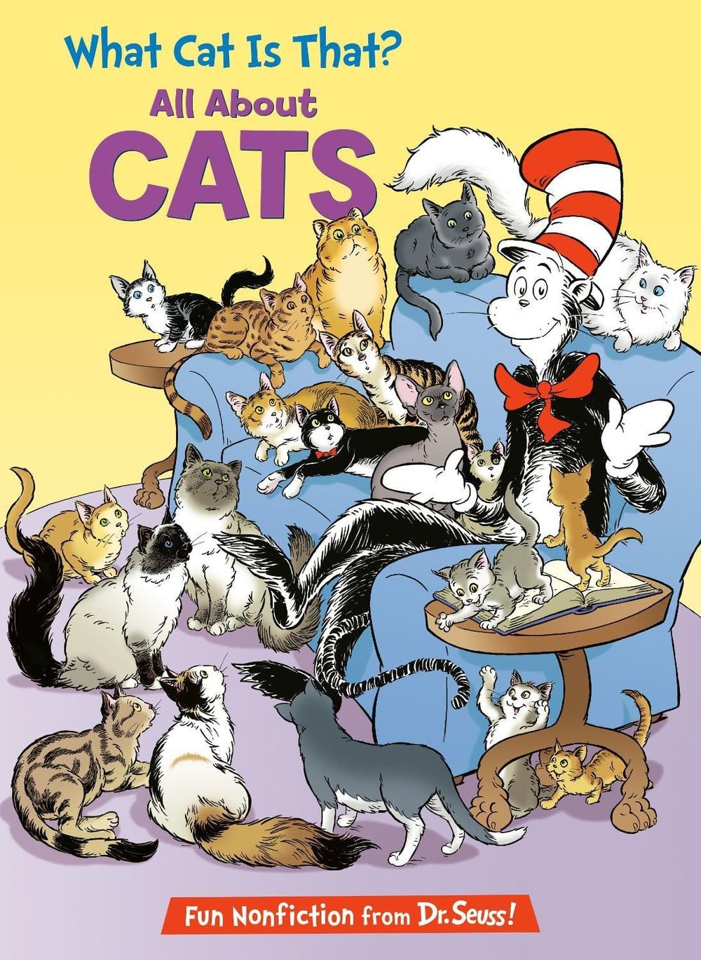 What Cat Is That? All About Cats by Tish Rabe - ISBN: 9780593905852
