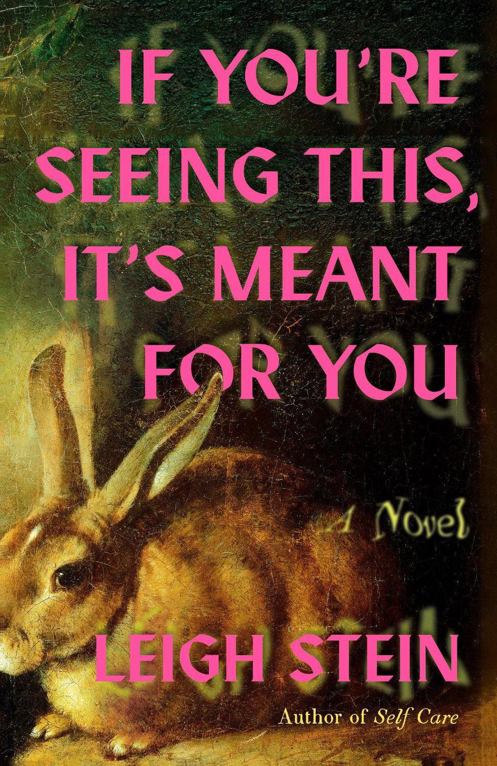 If You're Seeing This, It's Meant for You by Leigh Stein - ISBN: 9780593983645