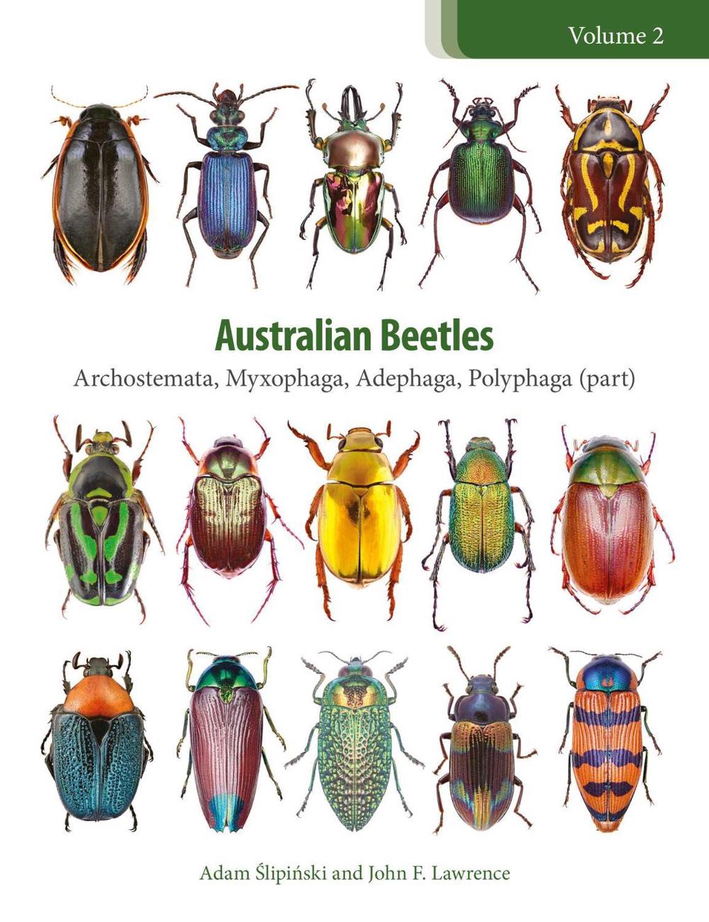 Australian Beetles Volume 2, 9780643097308