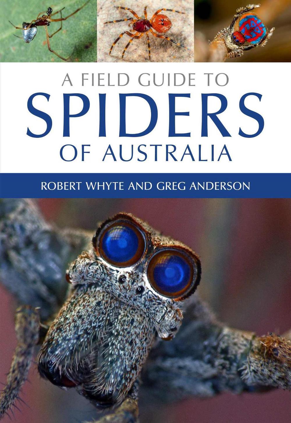 A Field Guide to Spiders of Australia, 9780643107076