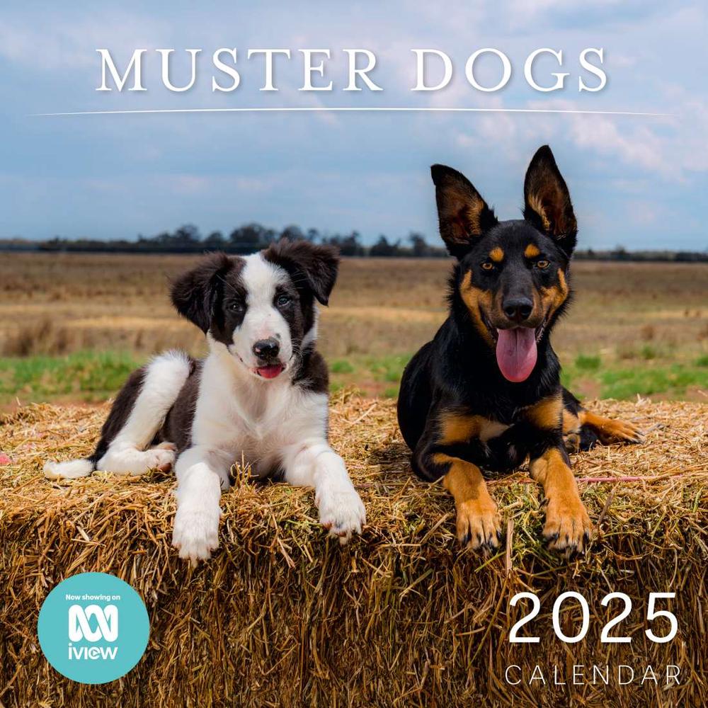 2025 Muster Dogs Wall Calendar by ABC, 9780645794632 Buy online at