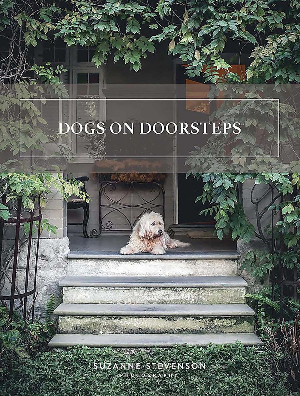 Dogs on Doorsteps by Suzanne Stevenson - ISBN: 9780646824017