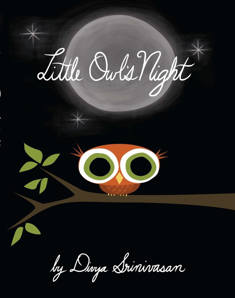 Little Owl's Night by Divya Srinivasan - ISBN: 9780670012954