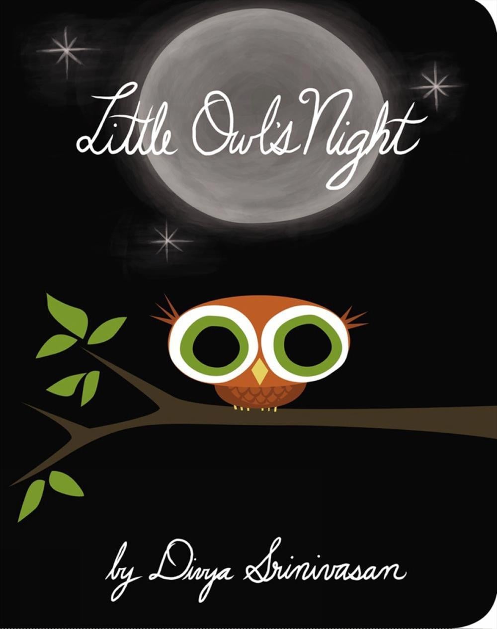 Little Owl's Night by Divya Srinivasan - ISBN: 9780670015795