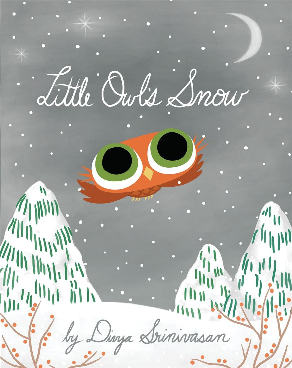 Little Owl's Snow by Divya Srinivasan - ISBN: 9780670016518