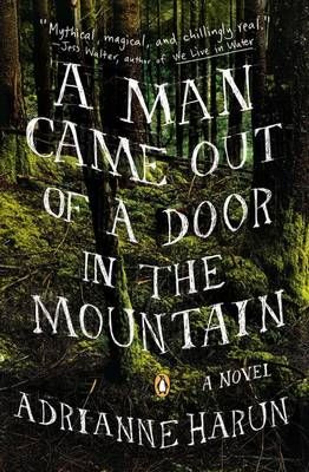 A Man Came Out of a Door in the Mountain by Adrianne Harun - ISBN: 9780670786107