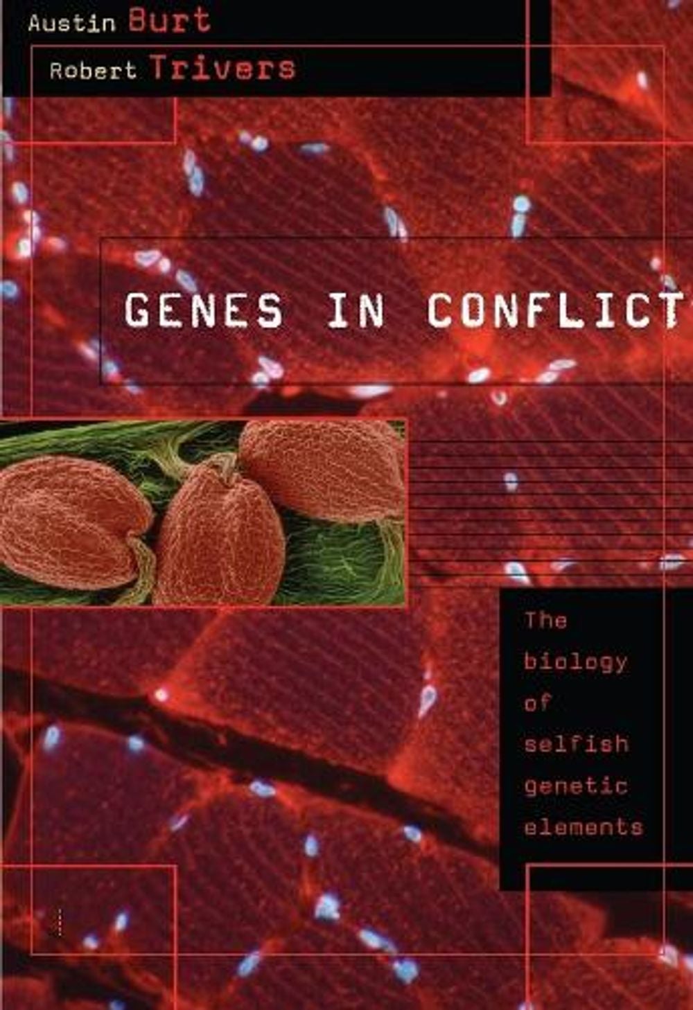 Genes in Conflict by Austin Burt - ISBN: 9780674027220