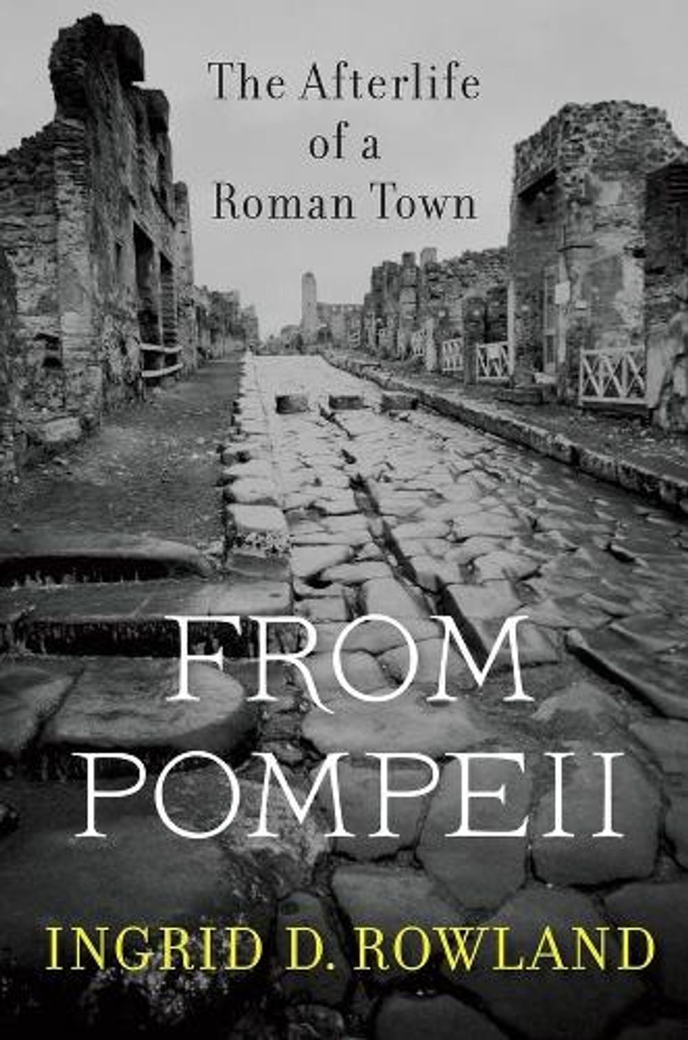 From Pompeii by Ingrid D. Rowland - ISBN: 9780674088092